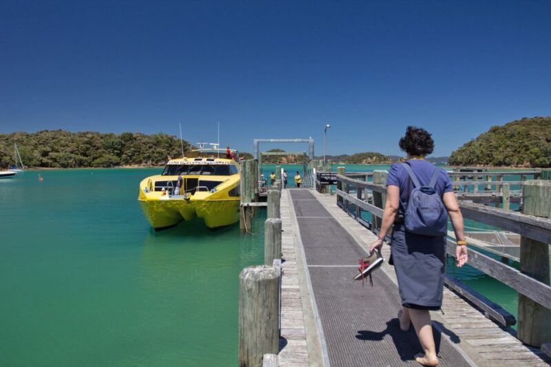 Bay of Islands: Bay Discovery Cruise With Island Stop-Over - Island Stop-Over Highlights