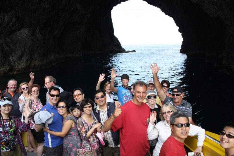 Bay of Islands: Bay Discovery Cruise With Island Stop-Over - Optional Activity Extensions
