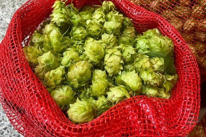 Bay of Islands Craft Beer Brewery Tour and Haruru Falls, Paihia - The Sum Up