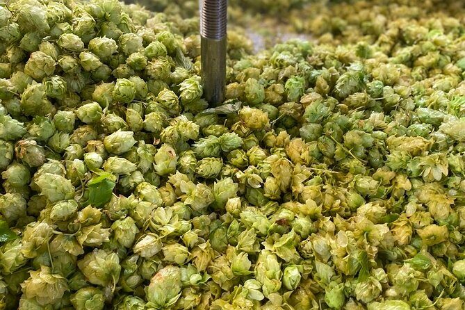 Bay of Islands Craft Beer Brewery Tour and Haruru Falls, Paihia - FAQ