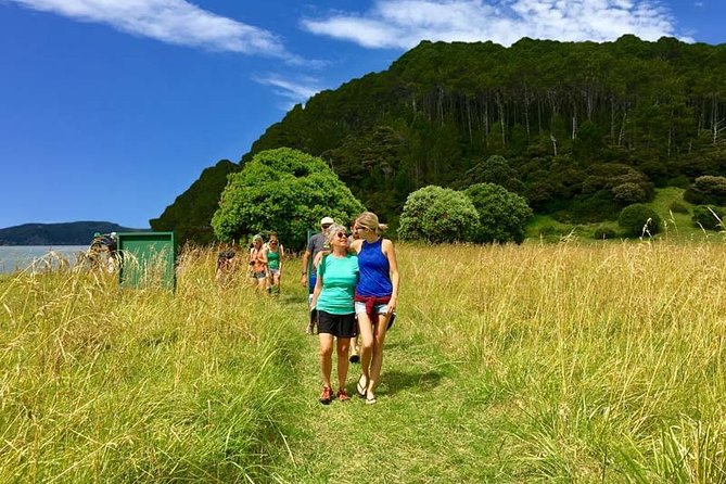 Bay of Islands Cruise & Island Tour - Snorkel, Hike,Swim,Wildlife - Booking and Cancellation Policy