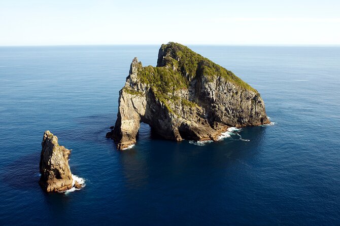 Bay of Islands Cruise & Island Tour - Snorkel, Hike,Swim,Wildlife - Scenic Cruise and Island Exploration
