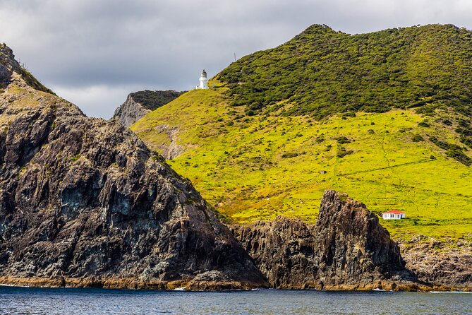 Bay of Islands Cruise & Island Tour - Snorkel, Hike,Swim,Wildlife - Personalized and Small-Group Experience