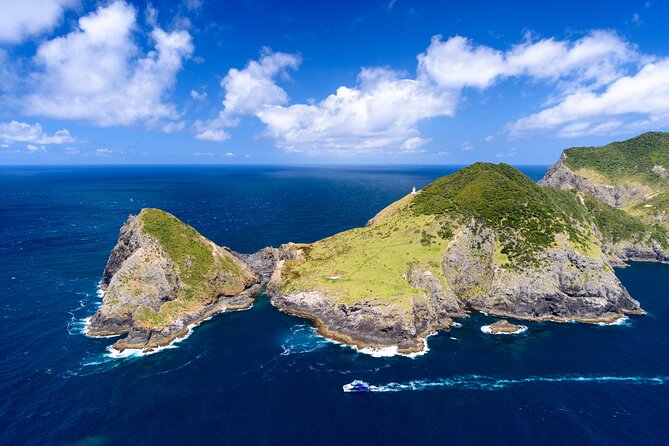 Bay of Islands Explorer Experience Small Group Tour From Auckland - Inclusions and Amenities
