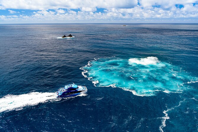 Bay of Islands Explorer Experience Small Group Tour From Auckland - Meeting and Pickup Information