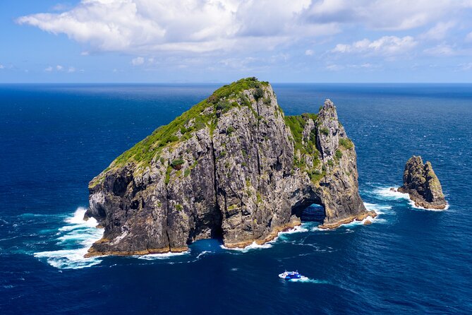 Bay of Islands Explorer Experience Small Group Tour From Auckland - Scenery and Wildlife Encounters
