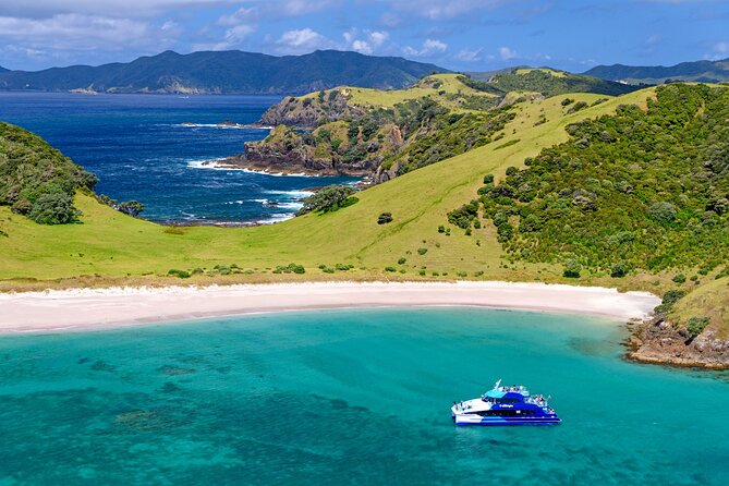 Bay of Islands Explorer Experience Small Group Tour From Auckland - Onboard Experiences and Activities