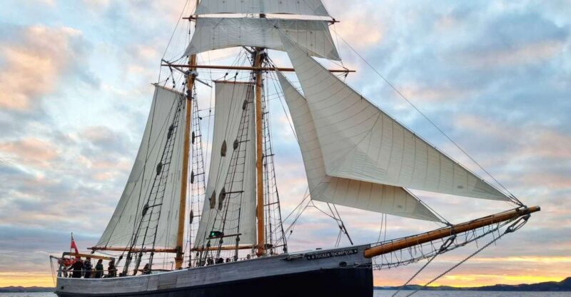 Bay of Islands: Late Afternoon Sailing Cruise - Key Points