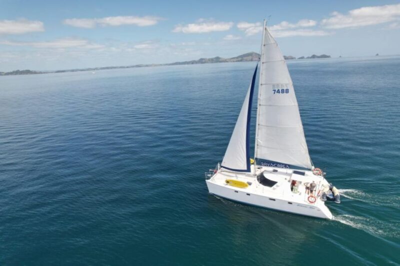 Bay of Islands: Sailing Catamaran Charter With Lunch - Inclusions and Amenities