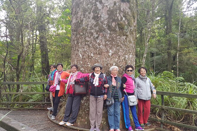 Bay of Islands Shore Excursion: Puketi Rainforest Guided Walk - Wildlife Encounters