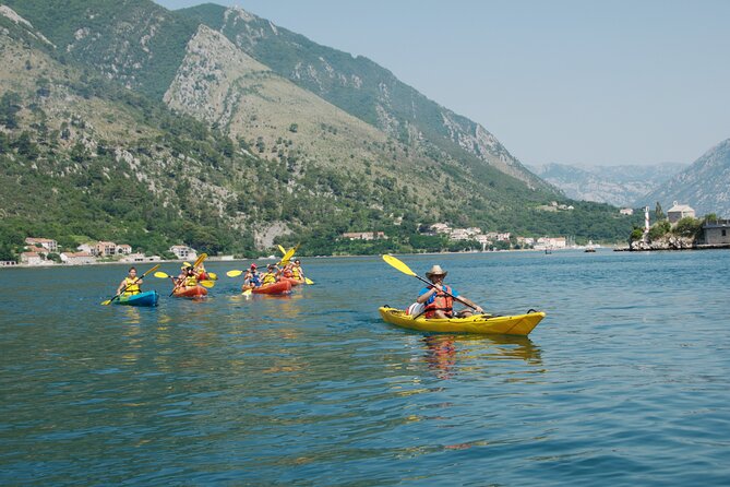 Bay of Kotor: 2.5-Hour Kayak Tour - Customer Insights and Testimonials