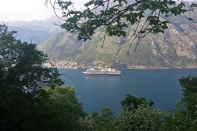 Bay of Kotor Hiking Experience - Montenegro Travel Club Private Tour - Health and Accessibility