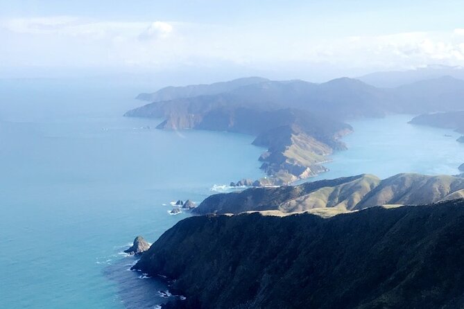 Bay of Many Coves Helicopter Tour With 3-Course Lunch From Wellington - Inclusions