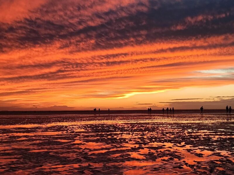 Bay of Mont Saint-Michel : Sunset Until Dark Night - Key Points