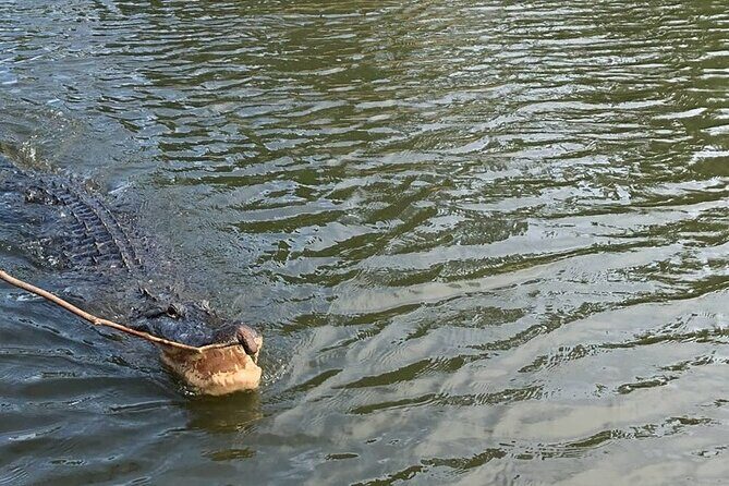 Bay Saint Louis Discovery Boat Tour - FAQ