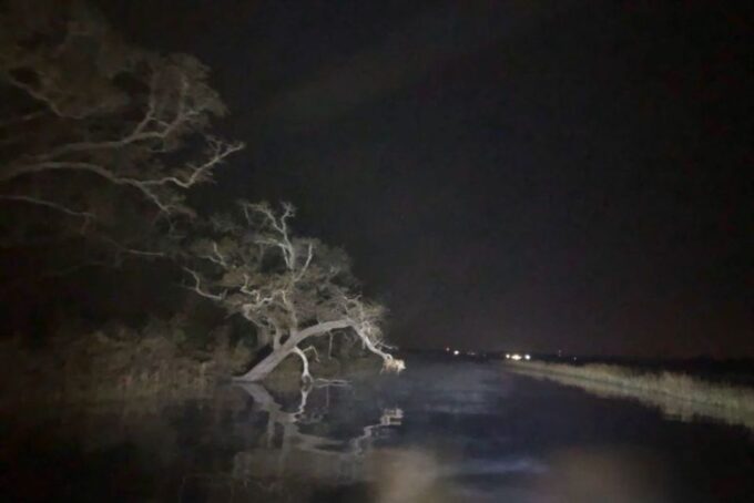 Bay St Louis: The Haunted Bayou Cruise - Additional Offerings