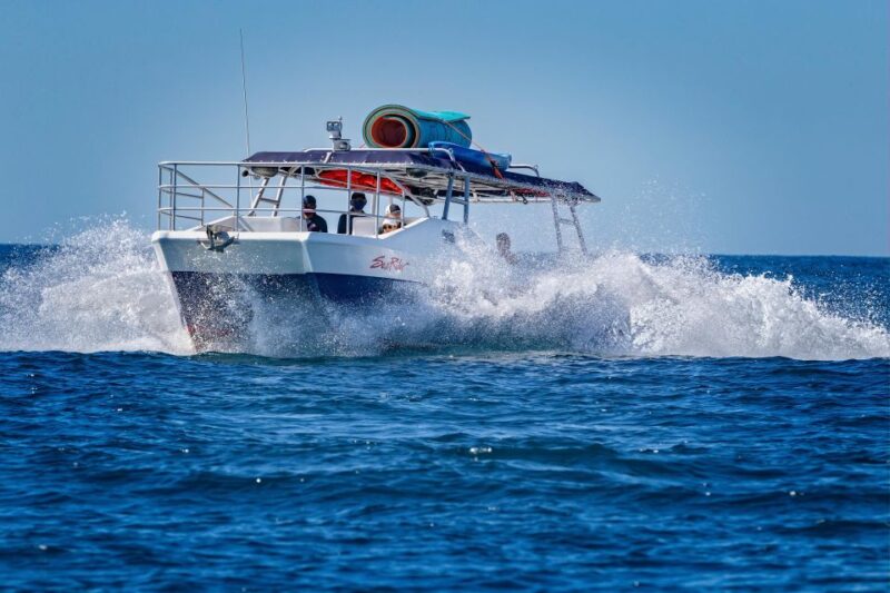 Bay Trip and the Arch of Cabo San Lucas - Inclusions and Amenities