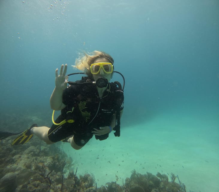 Bayahibe: 3 Tank - Private Scuba Dive Charter With Lunch - Included Services