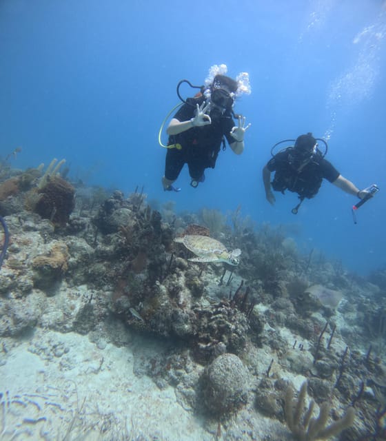 Bayahibe: 3 Tank - Private Scuba Dive Charter With Lunch - Pickup and Drop-off