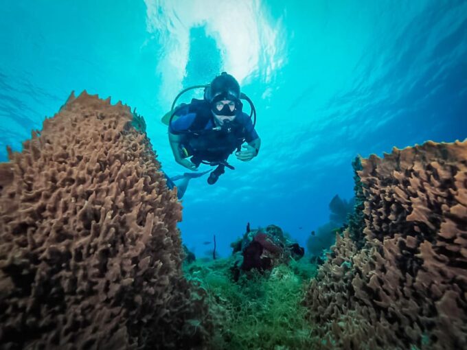 Bayahibe: 3 Tank - Private Scuba Dive Charter With Lunch - Suitable Participants