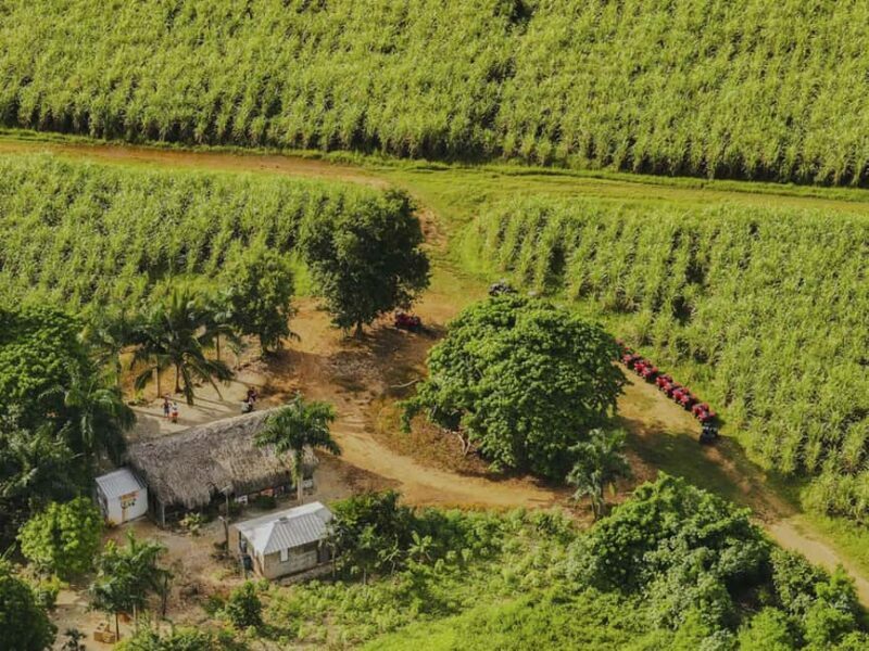 Bayahibe: ATV Tour with River Chavón and Local Tastings - Price and Value