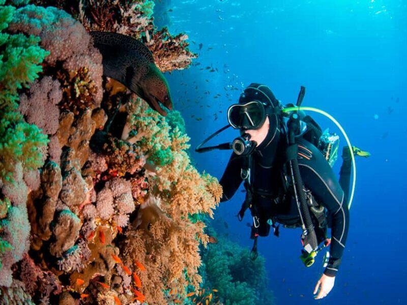 Bayahibe: Catalina Island Scuba Diving Tour with Lunch - Key Points
