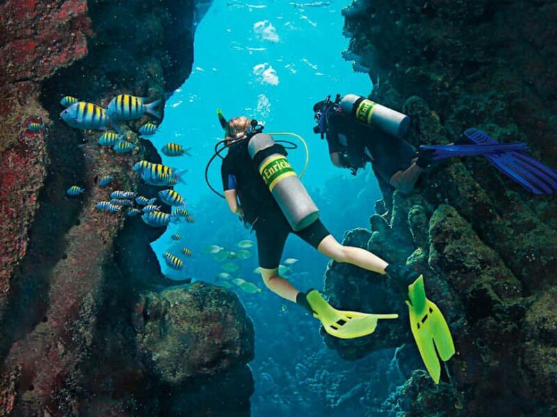 Bayahibe: Catalina Island Scuba Diving Tour with Lunch - Why This Tour Stands Out