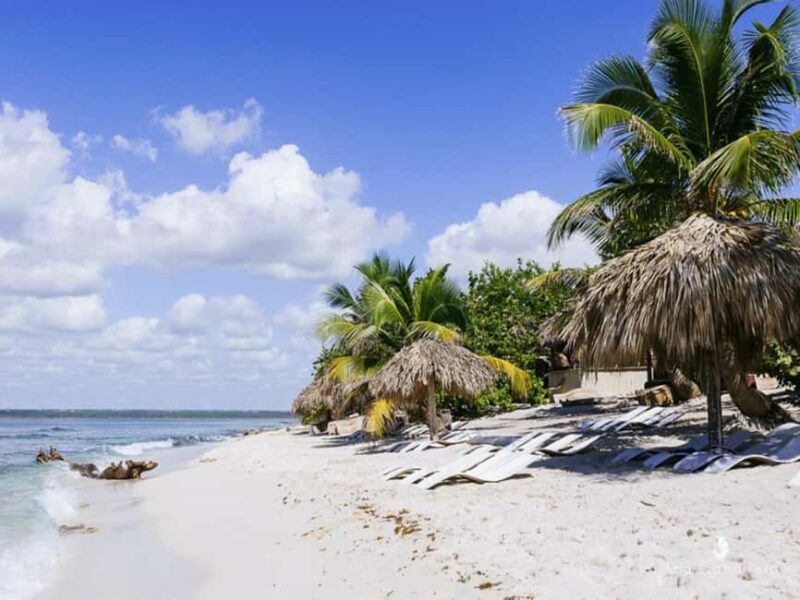 Bayahibe: Catalina Island Scuba Diving Tour with Lunch - Frequently Asked Questions