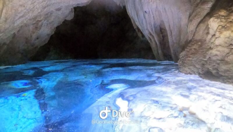 Bayahibe - Cenotes Scuba Diving - Godive Bayahibe - Customer Feedback