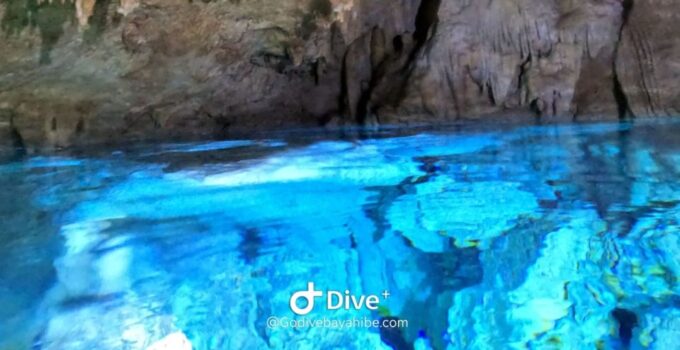Bayahibe - Cenotes Scuba Diving - Godive Bayahibe - Inclusions and Exclusions