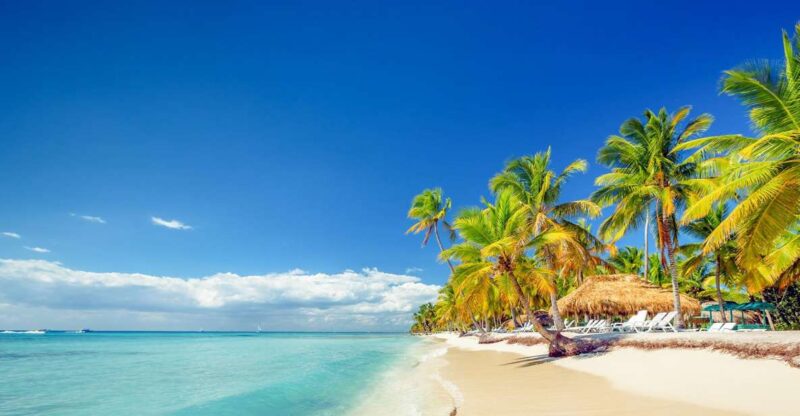 Bayahibe: Full-Day Saona Island Excursion - Itinerary Highlights