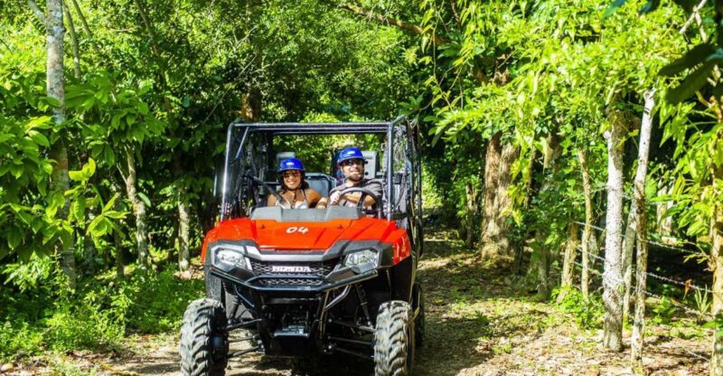 Bayahibe/La Romana: 4x4 Buggy and Monkeyland Tour - Experience Highlights