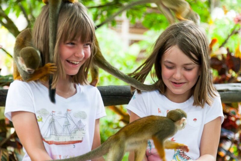 Bayahibe/La Romana: 4x4 Buggy and Monkeyland Tour - Buggy Driving