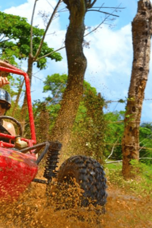 Bayahibe La Romana: Buggy Tour + Rivier With Transportation - Tour Schedule