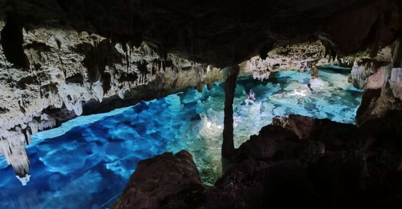Bayahibe: National Park Jungle Walk & Snorkeling in Cenotes - Key Points