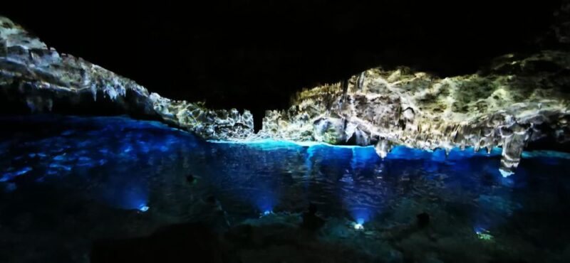 Bayahibe: National Park Jungle Walk & Snorkeling in Cenotes - Pricing Details