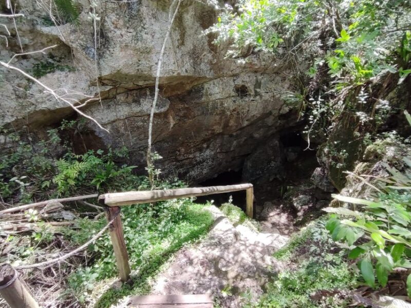 Bayahibe: National Park Jungle Walk & Snorkeling in Cenotes - Snorkeling in Cenotes