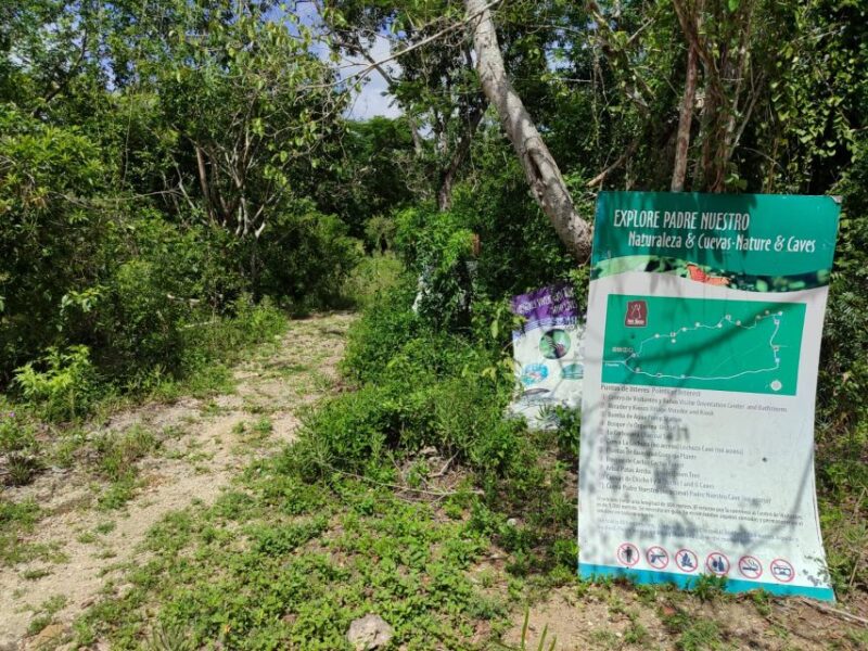 Bayahibe: National Park Jungle Walk & Snorkeling in Cenotes - Pickup and Transportation