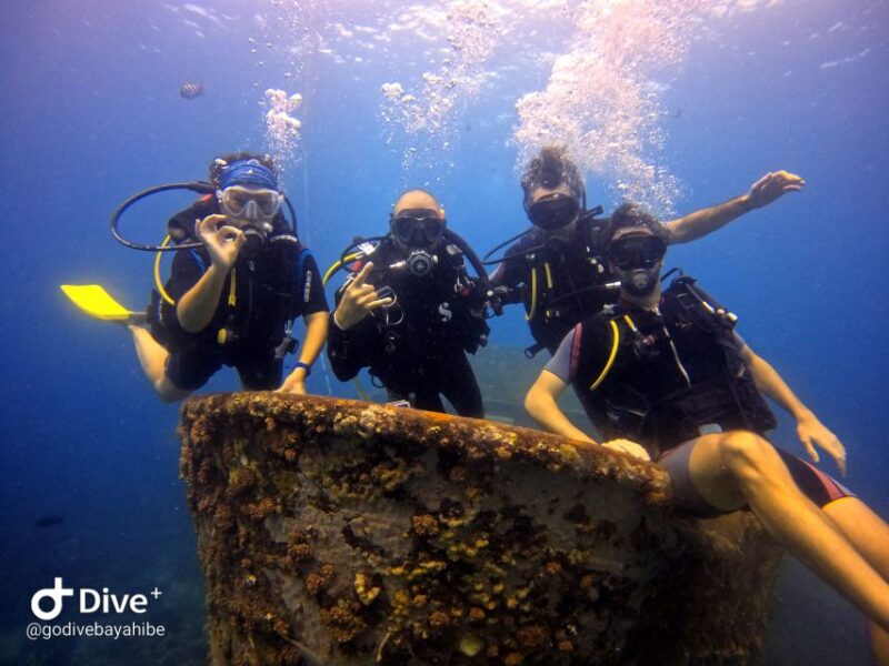 Bayahibe - PADI Open Water Course - Go Dive - Instructor and Experience