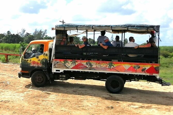 Bayahibe Safari Discovery - Lunch and Cuisine