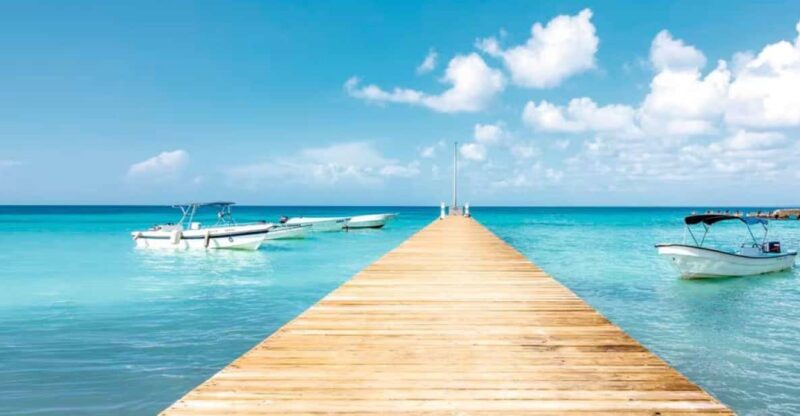 Bayahibe: Samaná and Miches Whale Watching Day Trip - Itinerary and Activities