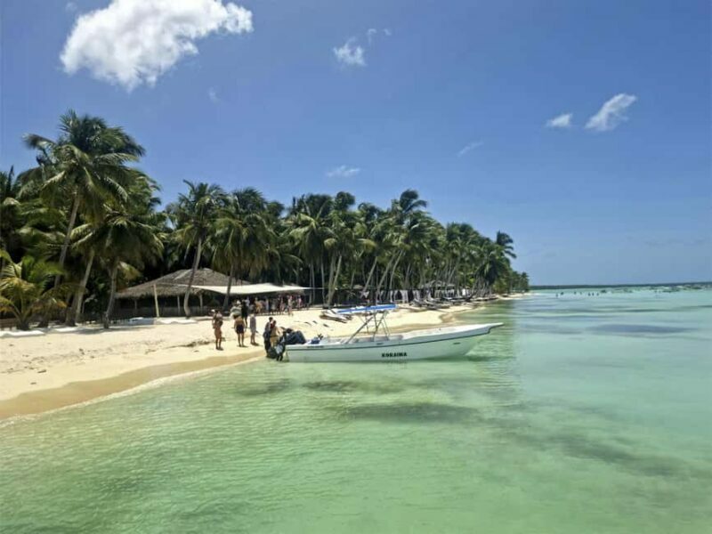 Bayahibe: Saona Island Boat Tour Small Group - Is It Worth the Price?