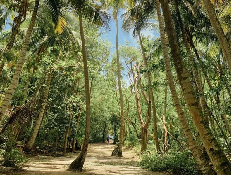 Bayahibe: Saona Island Boat Tour Small Group - The Sum Up: Is It the Right Choice for You?