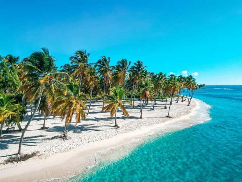Bayahibe: Saona Island Catamaran Cruise with Natural Pool - Key Points