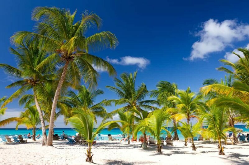 Bayahibe: Saona Island Sailing in catamaran with open bar - Key Points