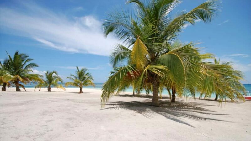 Bayahibe: Saona Island Sailing in catamaran with open bar - Who Will Love This Tour?