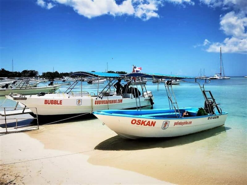 Bayahibe: Scuba Diving Initiation by Go Dive Bayahibe - The Sum Up: Who Is This Tour Best For?