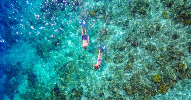 Bayahibe: Snorkeling Tour - Sea, Cotubanama Park & Cenotes - Key Points