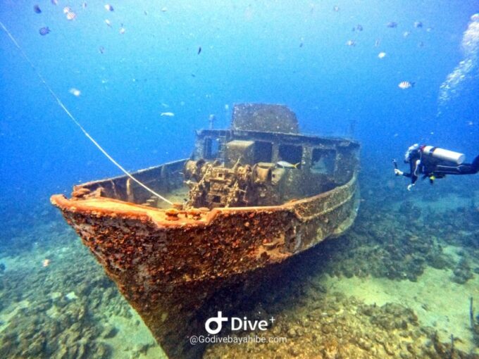 Bayahibe: Snorkeling Tour - Sea, Cotubanama Park & Cenotes - Suitability