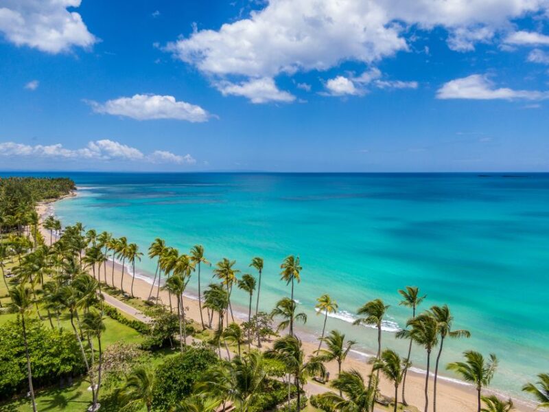 Bayahibe: Whale-Watching Cruise & Cayo Levantado Day Trip - Key Points